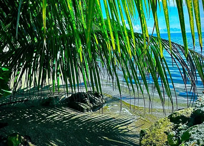 Belize Bay Estate