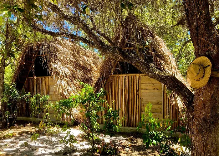 Kin Resort Lodge